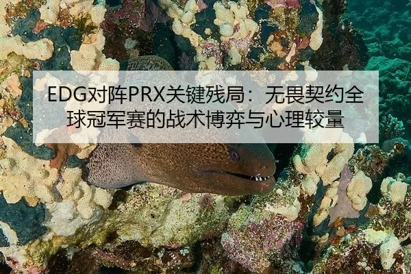 EDG对阵PRX关键残局：无畏契约全球冠军赛的战术博弈与心理较量