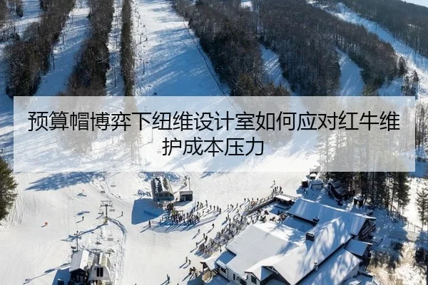 yu-suan-mao-bo-yi-xia-niu-wei-she-ji-shi-ru-he-ying-dui-hong-niu-wei-hu-cheng-ben-ya-li-2-211.jpg