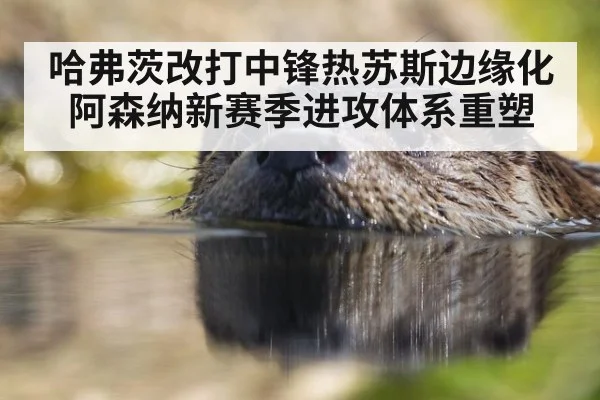 哈弗茨改打中锋热苏斯边缘化阿森纳新赛季进攻体系重塑